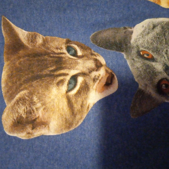 Cat t-shirt - Picture 6 of 7